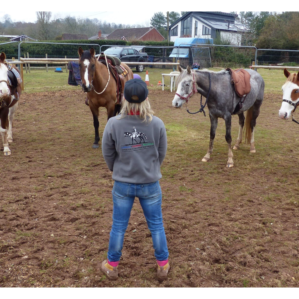 Urban Horse School