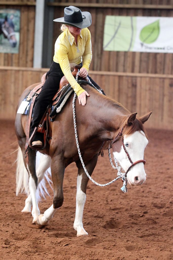Urban Horse School